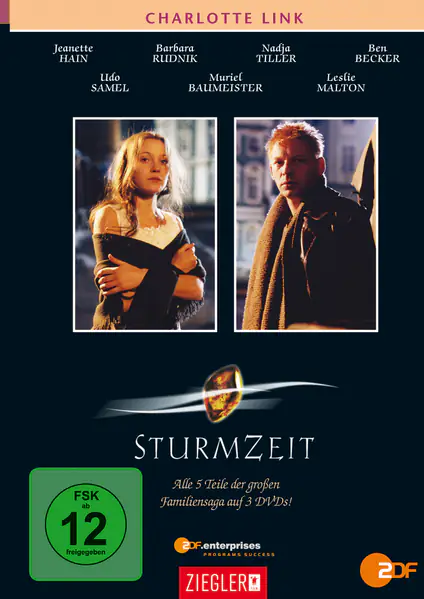 Ch. Link: Sturmzeit I-V